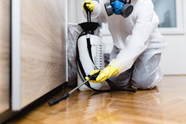 Best Exterminator Services  in Bellefontaine, OH