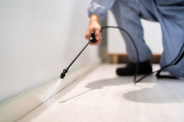 Best Local Pest Control Services  in Bellefontaine, OH