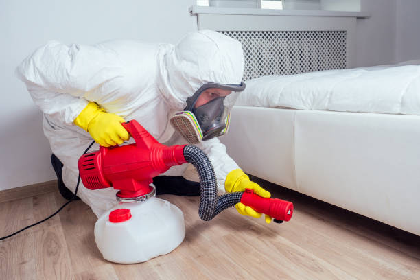 Best Flea Control Services  in Bellefontaine, OH