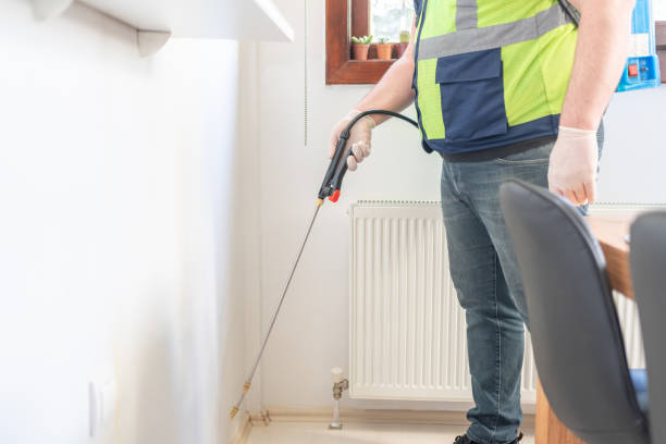 Best Termite Control Services  in Bellefontaine, OH