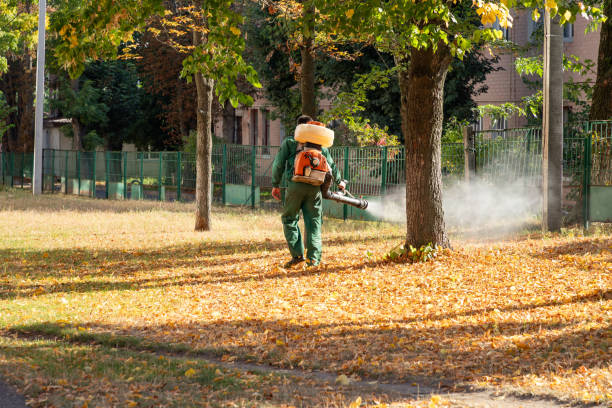 Best Wasp Removal Services  in Bellefontaine, OH