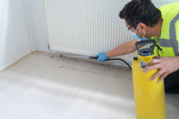 Best Ant Control Services  in Bellefontaine, OH